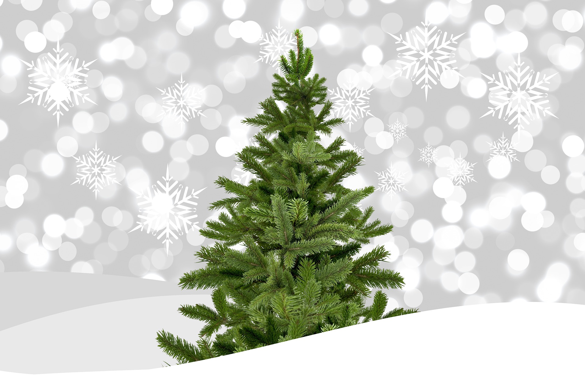 Christmas Song Quiz - Christmas Tree