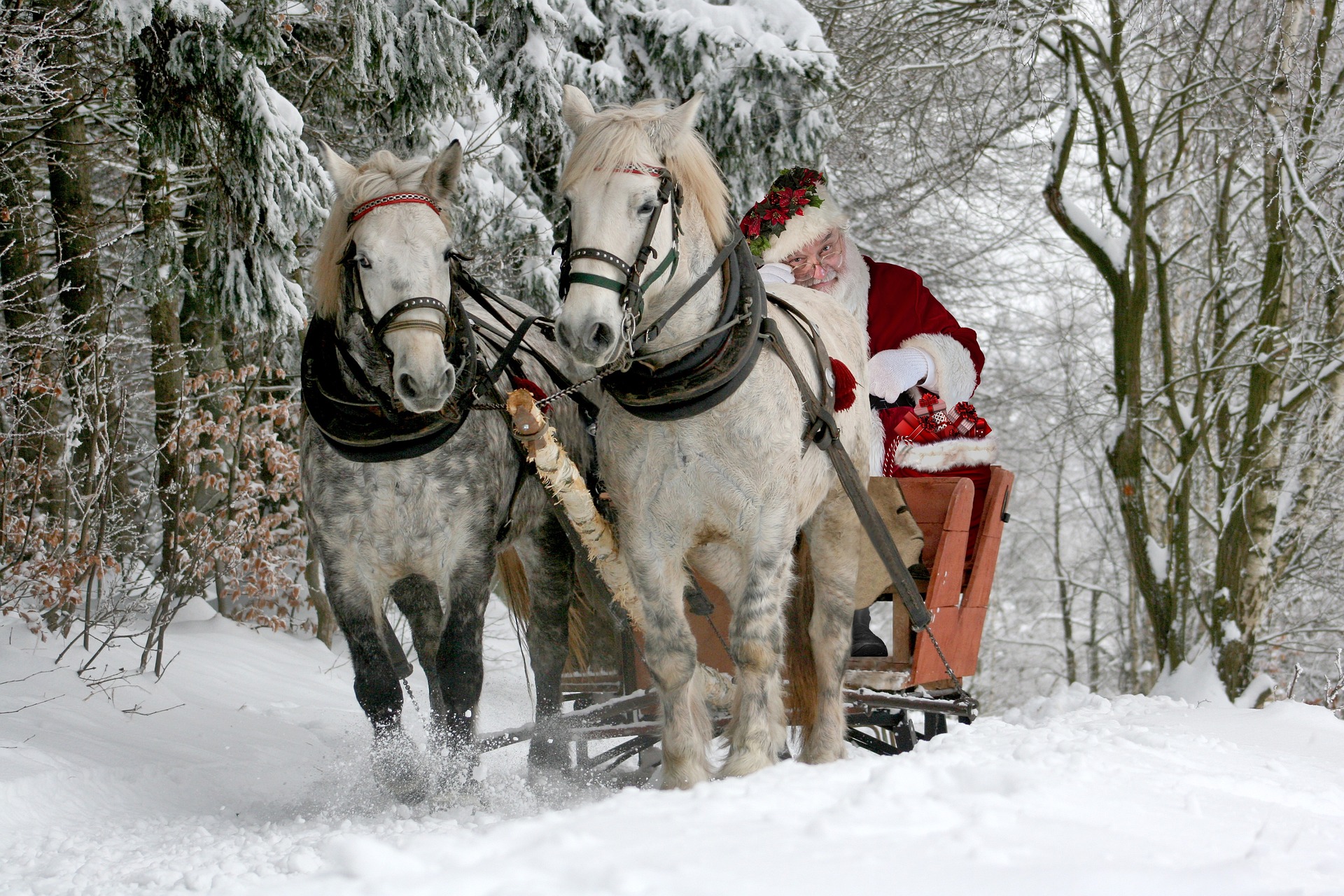 Christmas Song Quiz - Horses