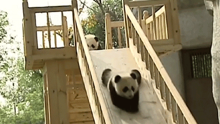 infinite pandas sliding