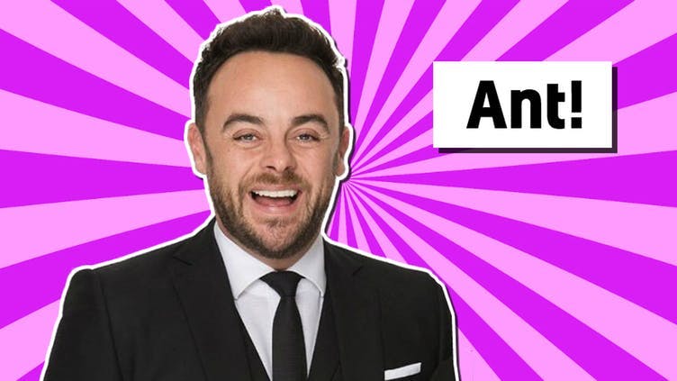 Ant McPartlin from Saturday Night Takeaway