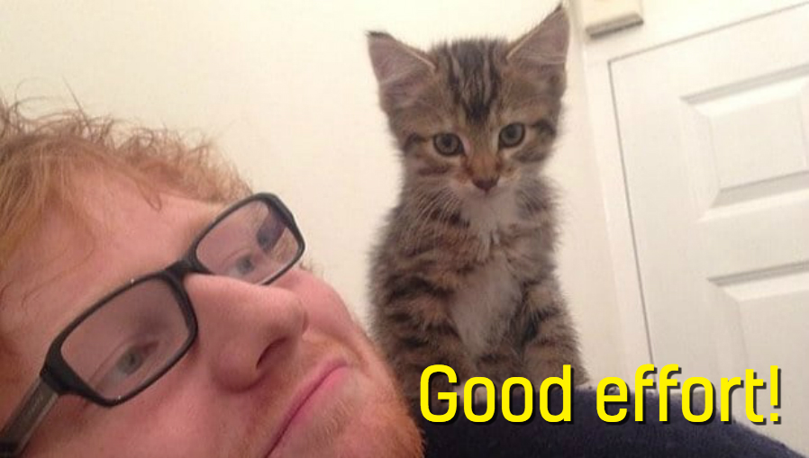 Ed Sheeran and a kitten