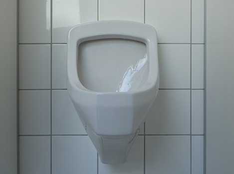 An innocent looking toilet
