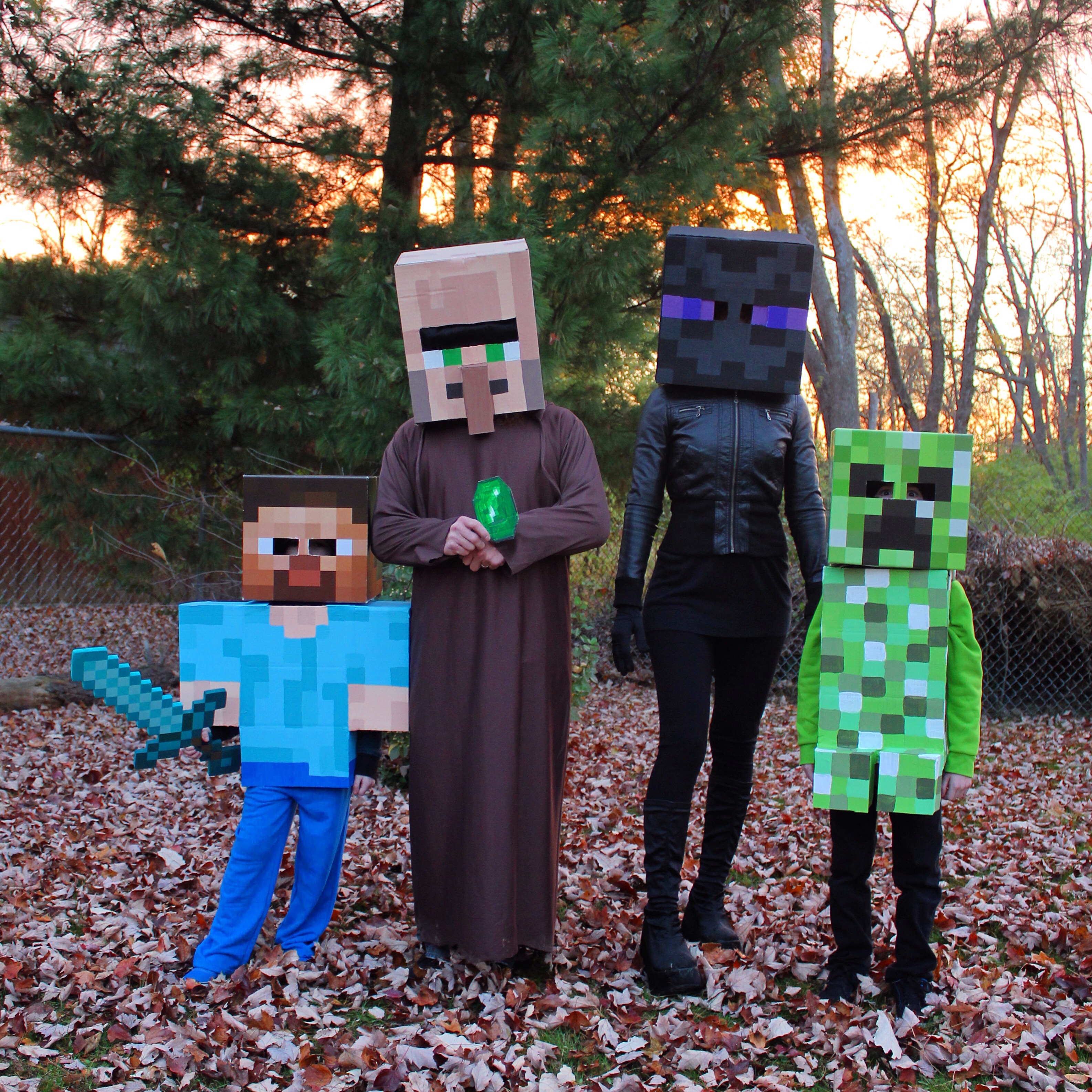 Minecraft Costumes in Halloween Costumes 