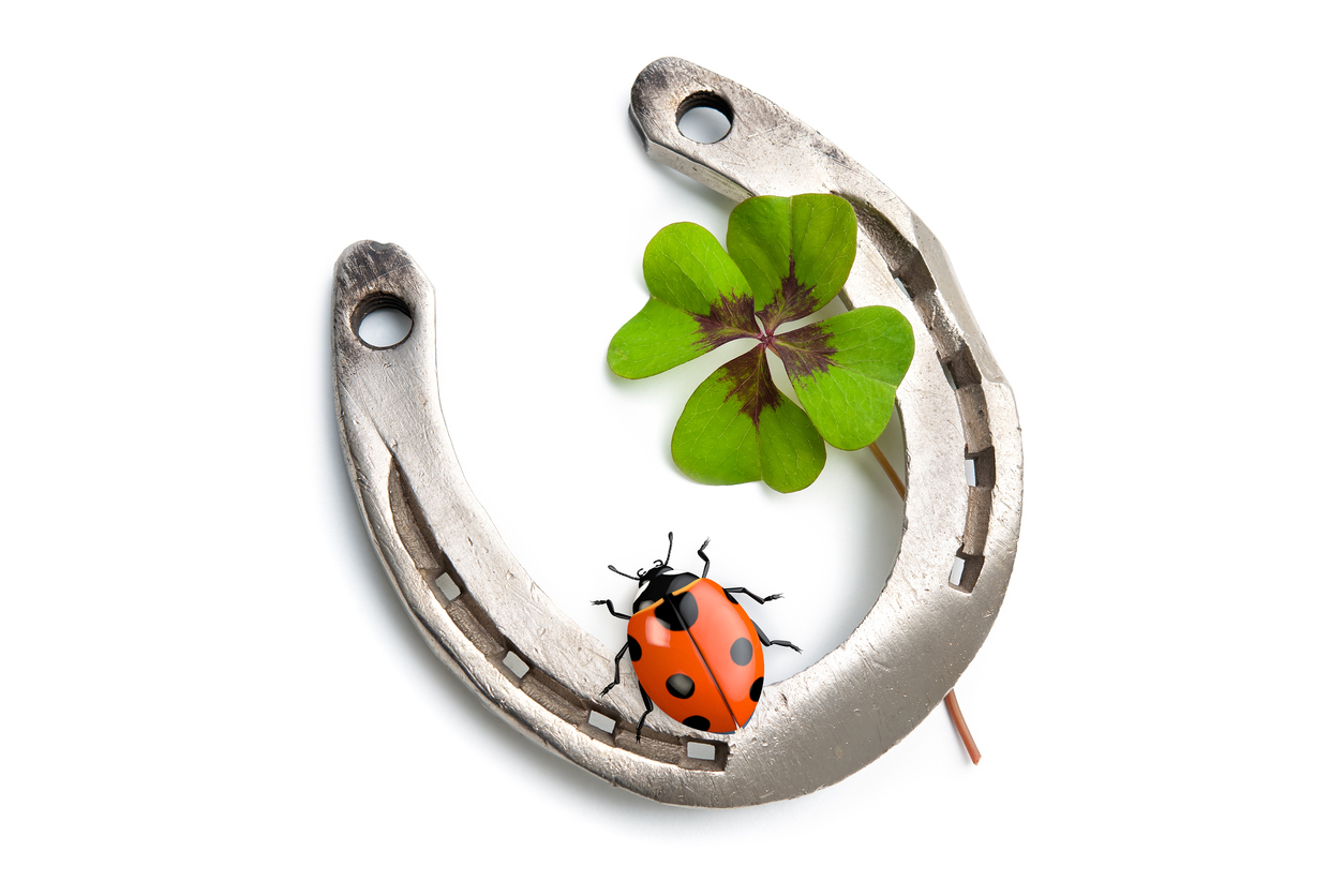 A lucky horseshoe, ladybird and four-leaf clover