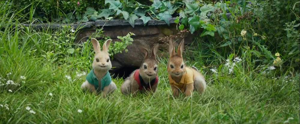 Peter Rabbit's triplet cousins