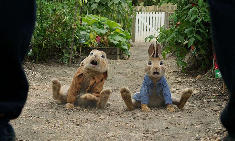 Peter Rabbit and his cousin Benjamin