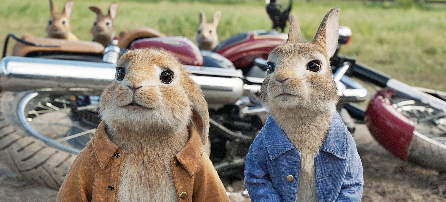 Peter Rabbit and his cousin