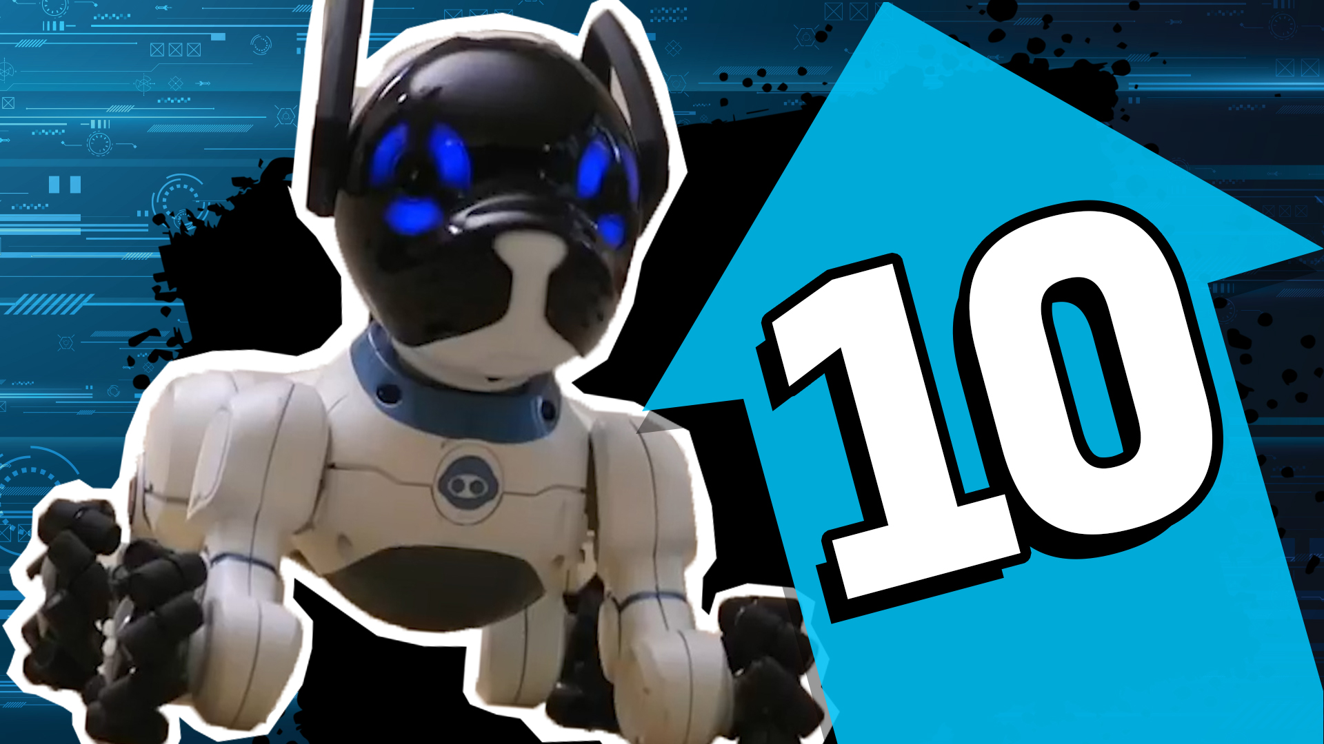Top 10 Robot Animals! | Robots | Animals on 