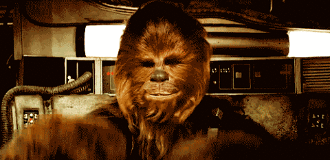 Han Solo's Wookiee co-pilot