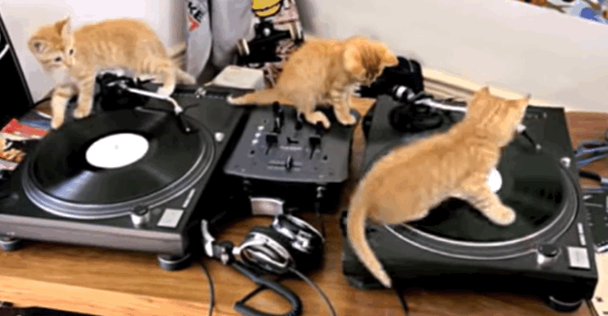 Some cats playing on a stereo