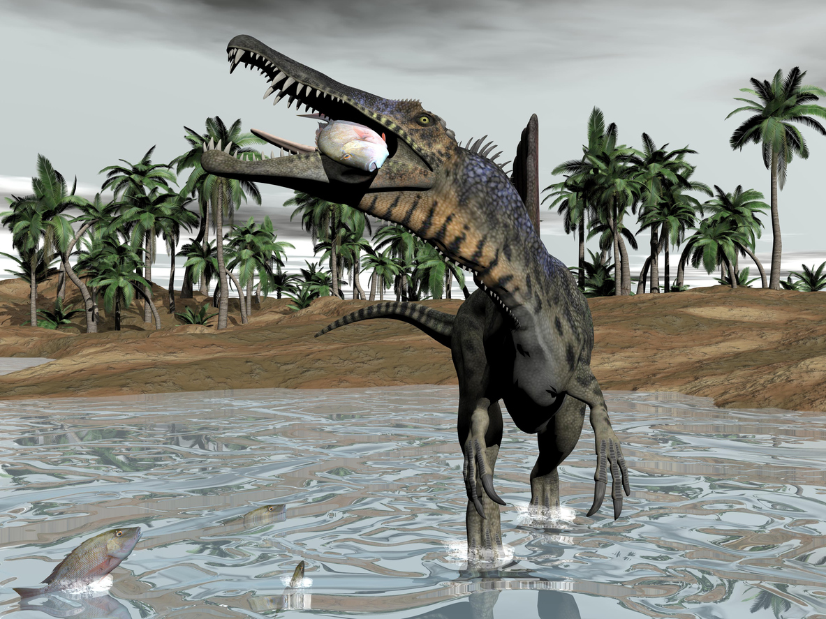 Spinosaurus dinosaur eating fish