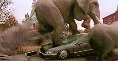 An elephant crushes a car in the film Jumanji
