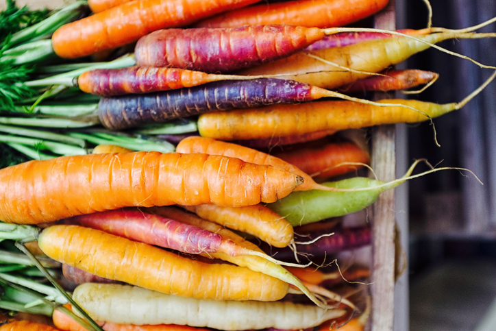 Different varieties of carrot 