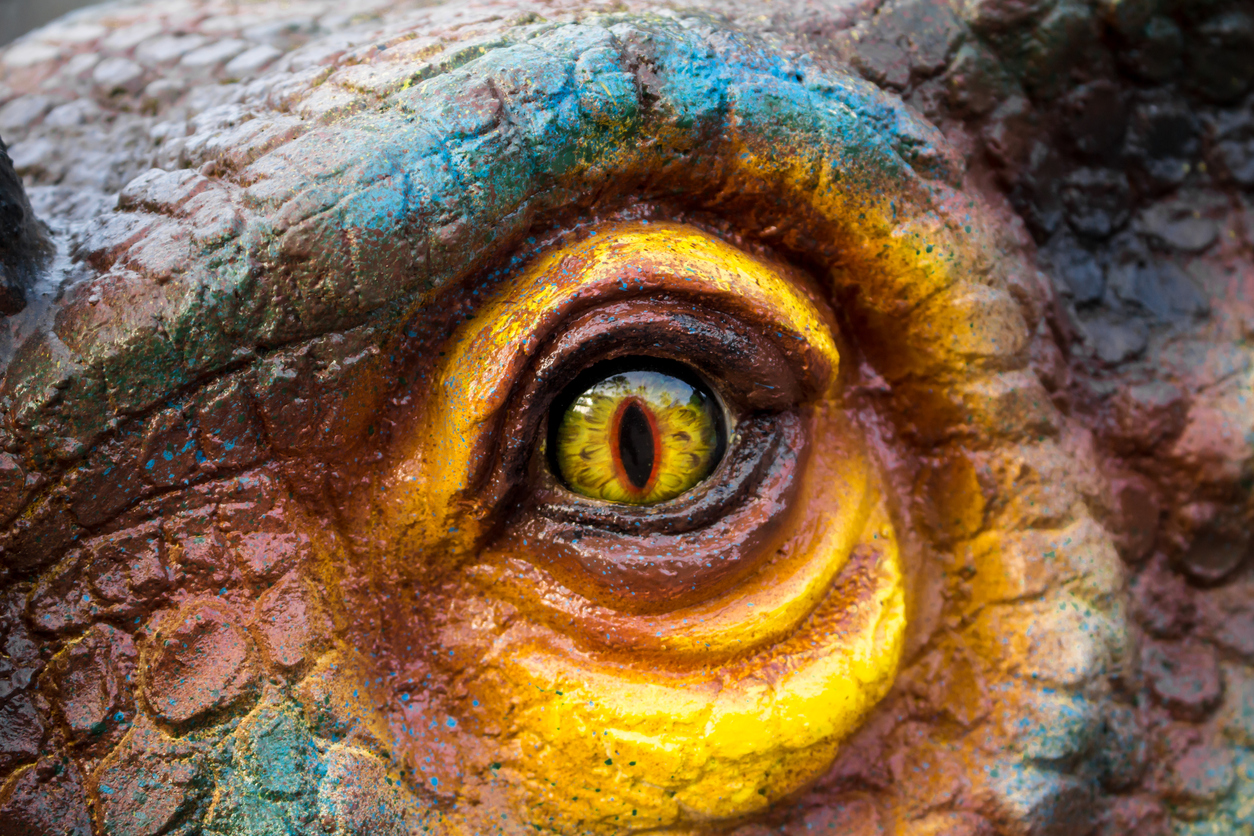 A close up of a dinosaur's eye