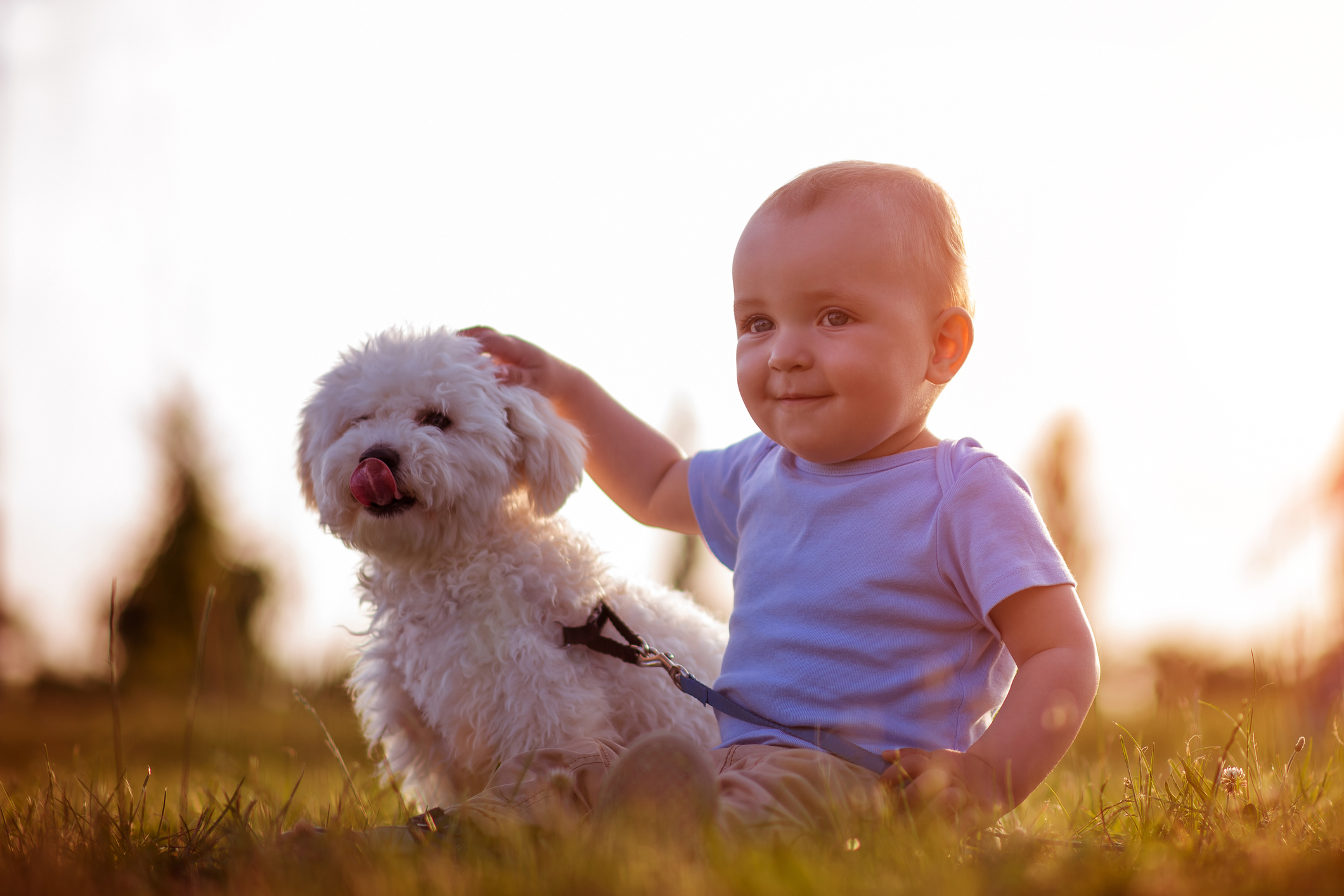 Happy baby sitting on grass holding small white dog on lead