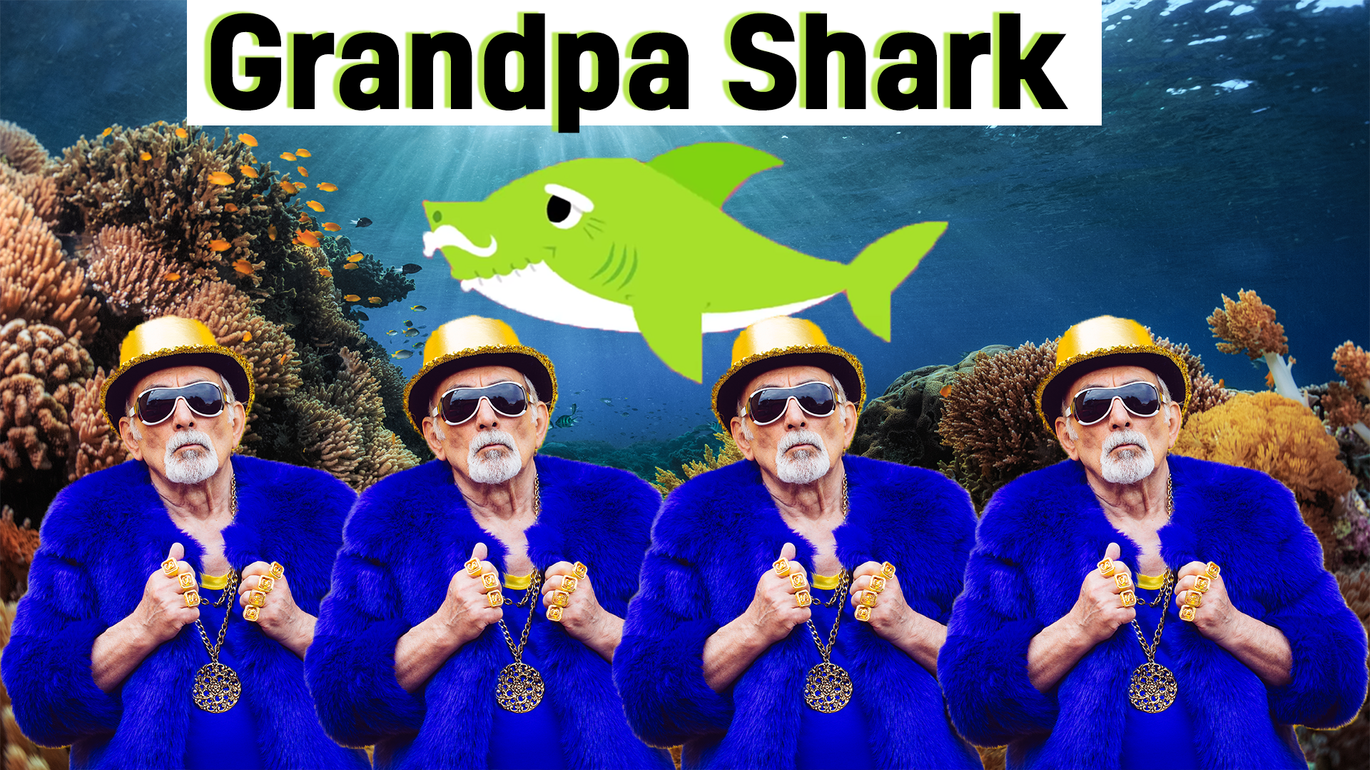 Grandpa Shark and fish