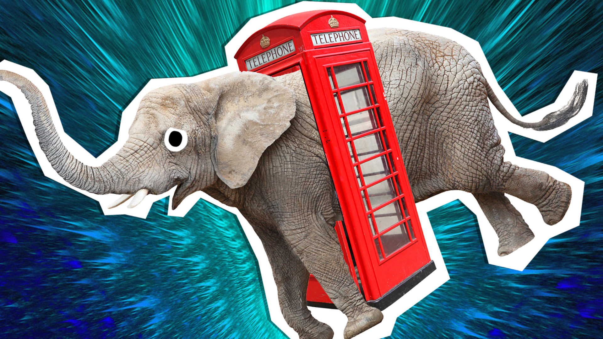 elephant in a phonebox