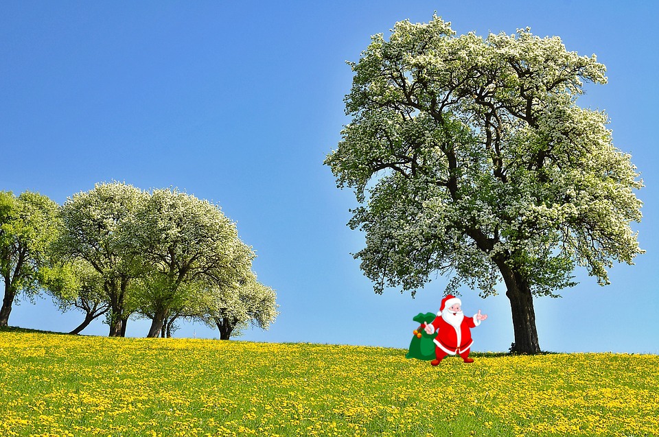 Santa standing under a big tree