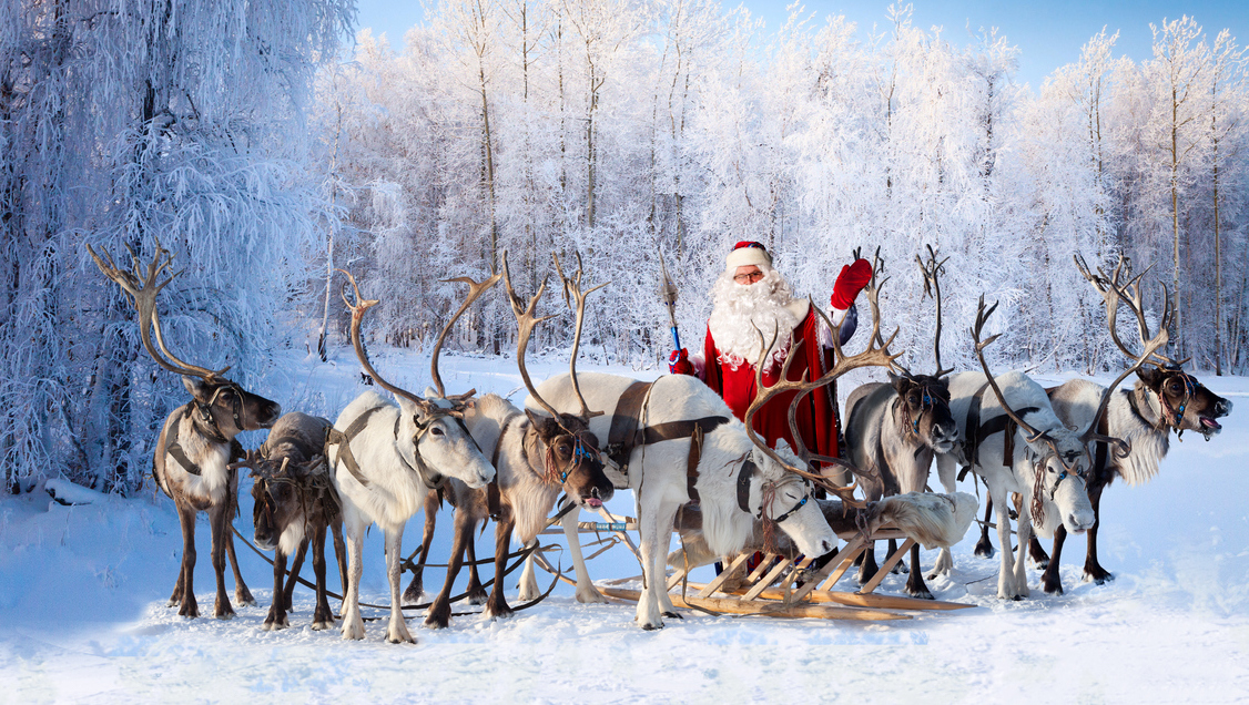 Santa and his reindeer in the snow