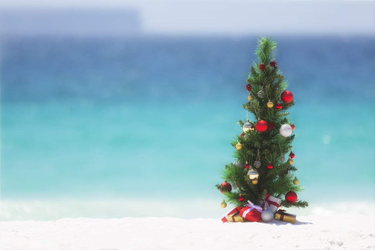 A Christmas tree on a beach