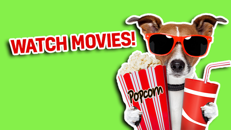A dog with popcorn ready to watch movies
