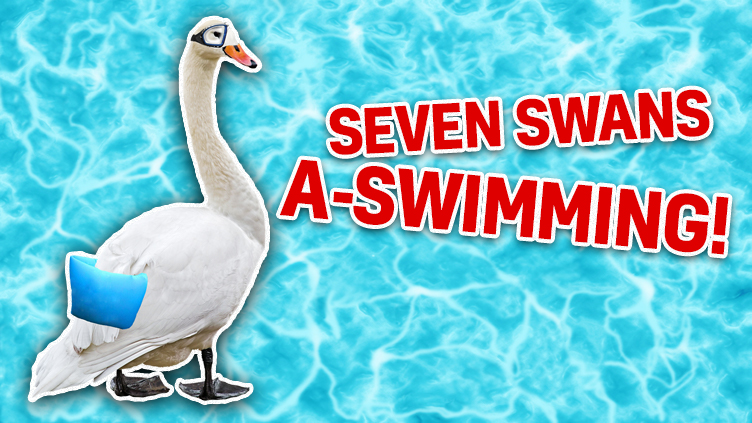 7 swans a-swimming