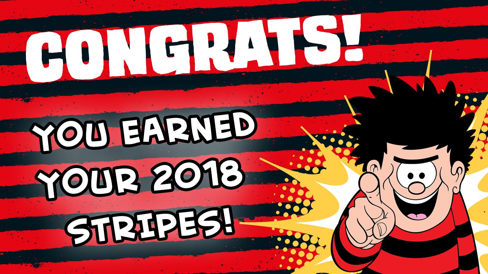 YOU earned your 2018 stripes!