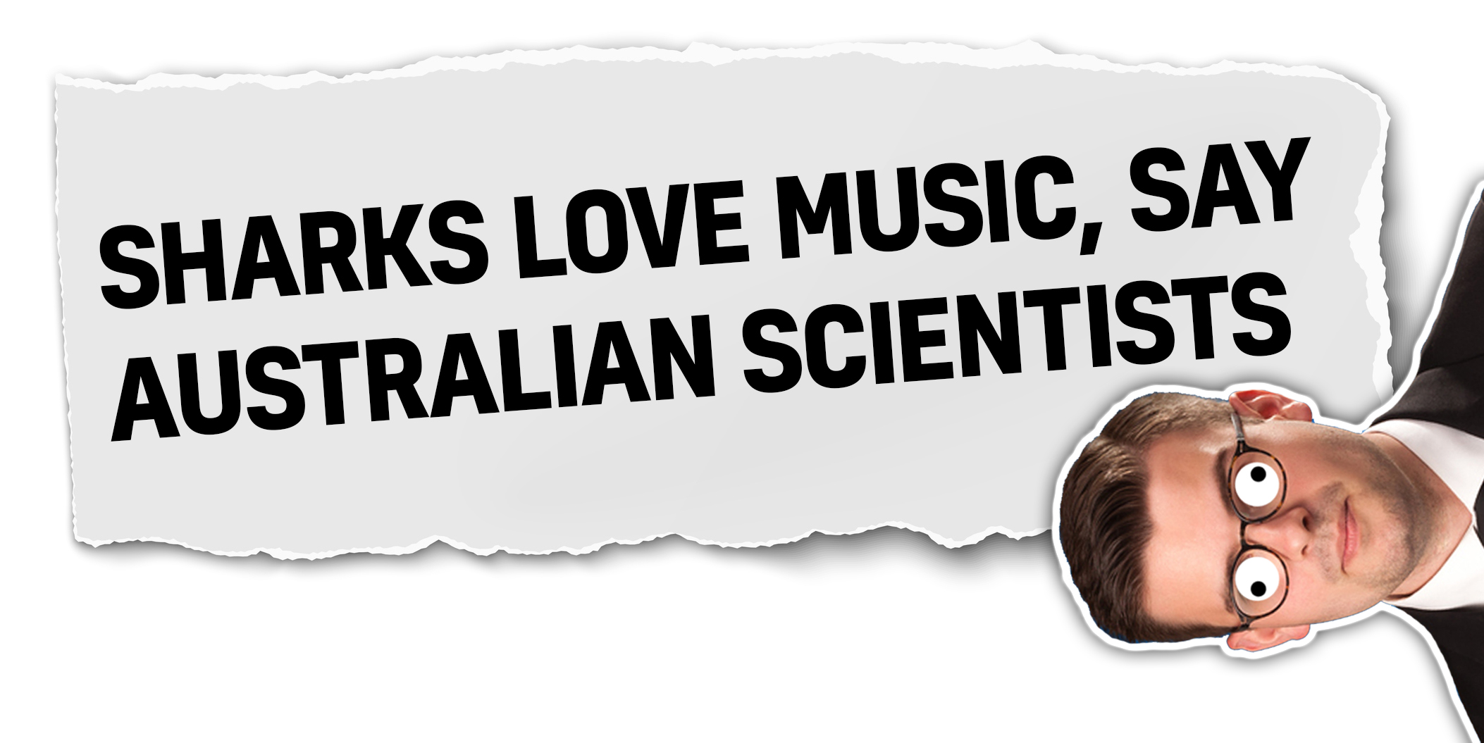Sharks love music, say Australian scientists