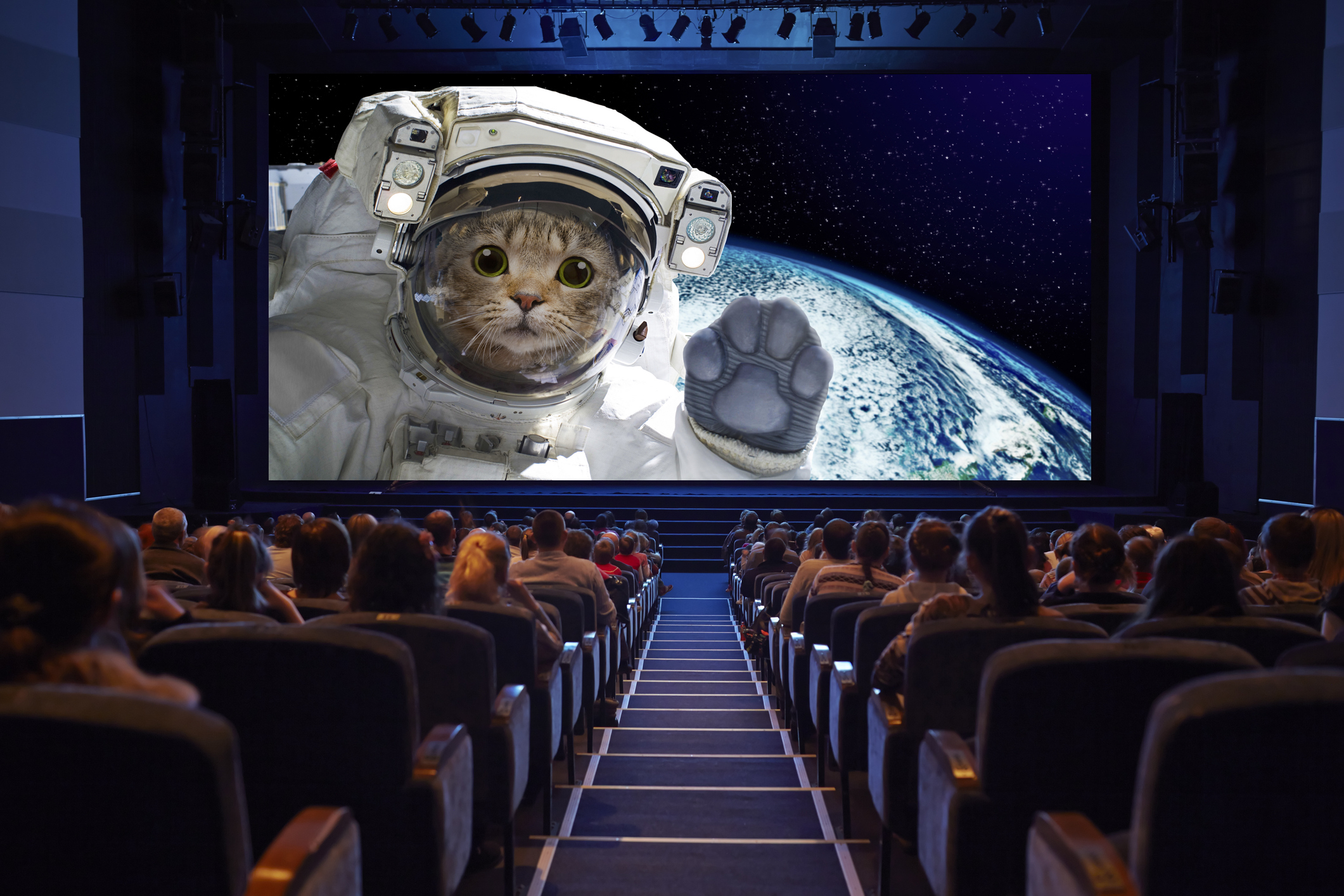 A cinema audience enjoys a sci-fi film about a cat
