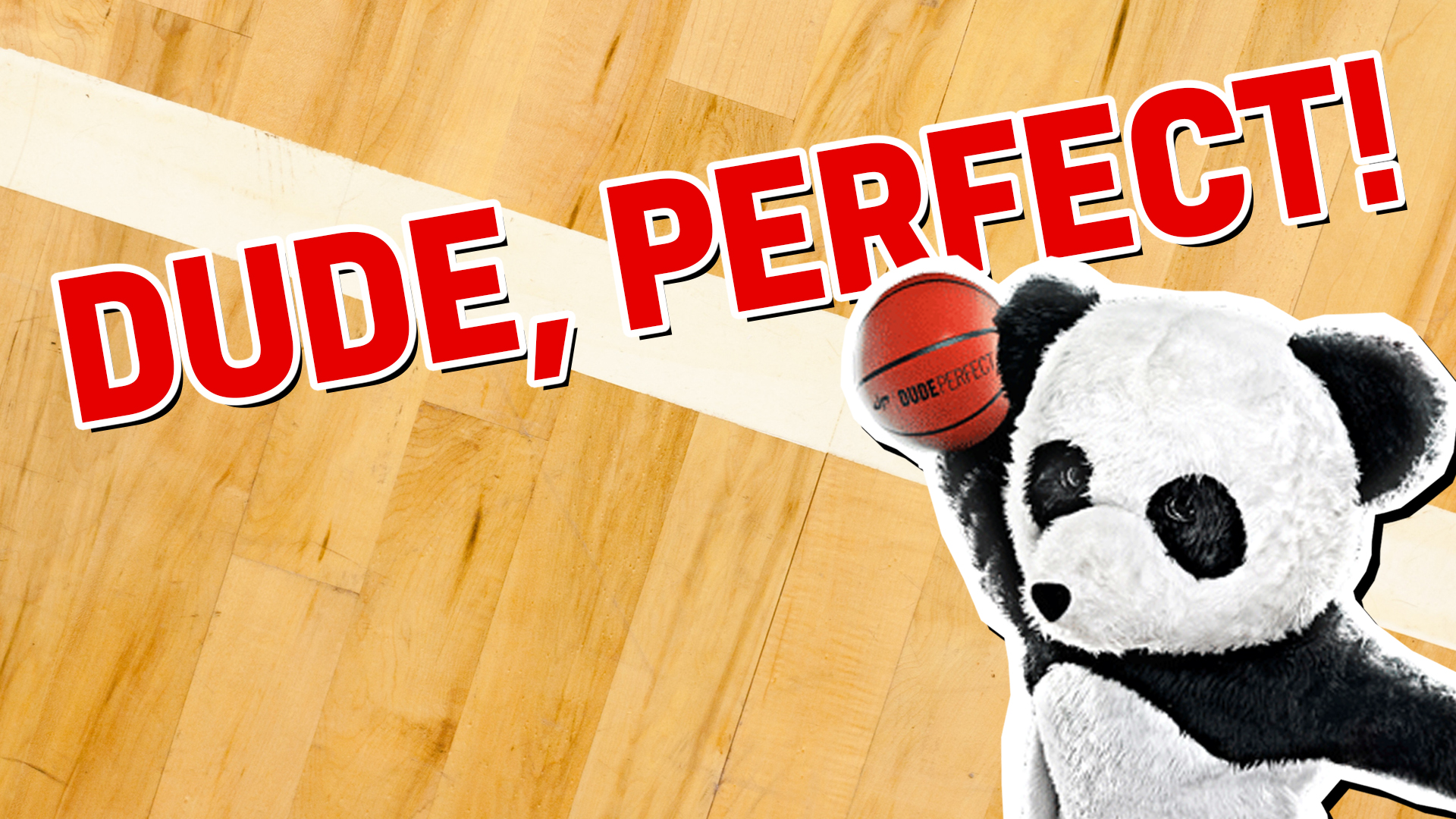 The Dude Perfect Panda says your result is a total slam dunk!