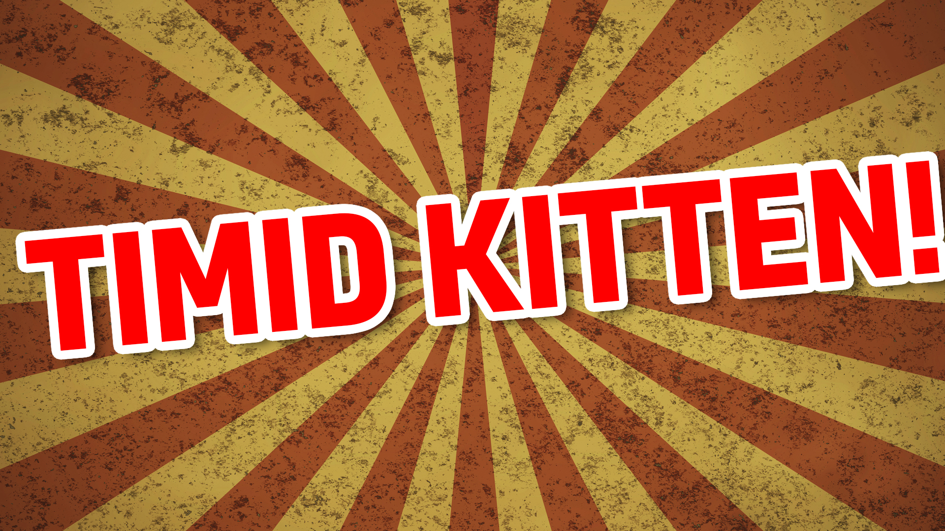 Your name is: TIMID KITTEN!