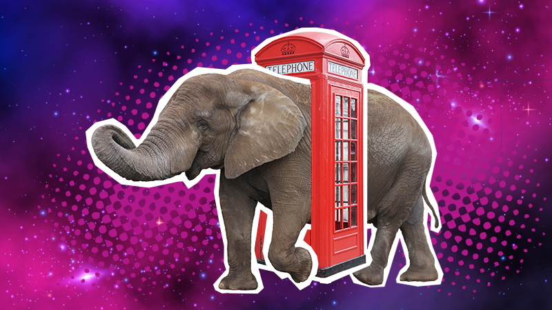 15 Funny Elephant Jokes You Won't Have Herd 