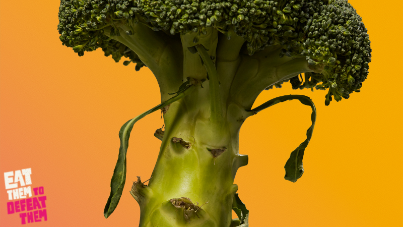 A grumpy looking broccoli