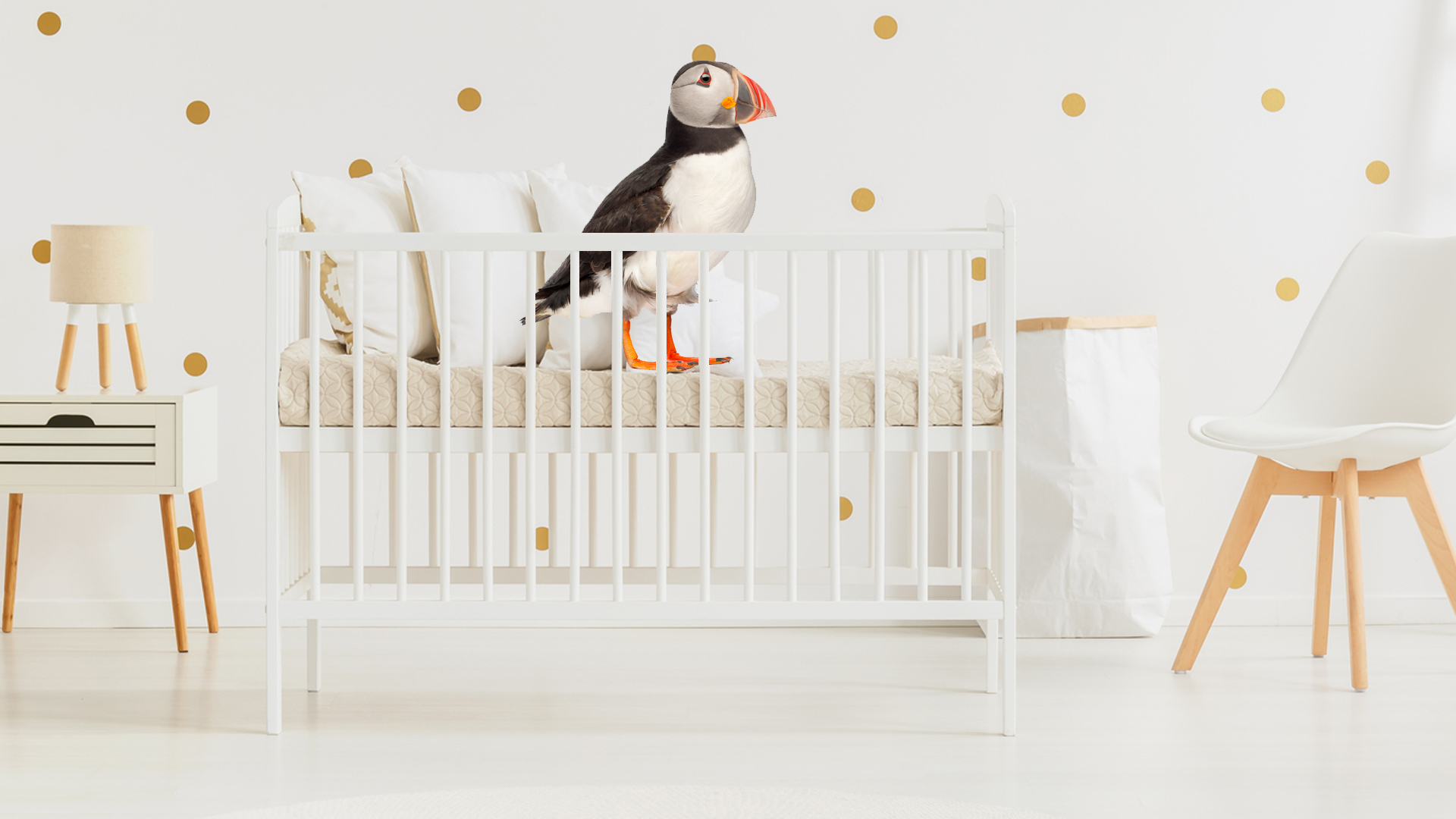 A puffin in a baby's cot