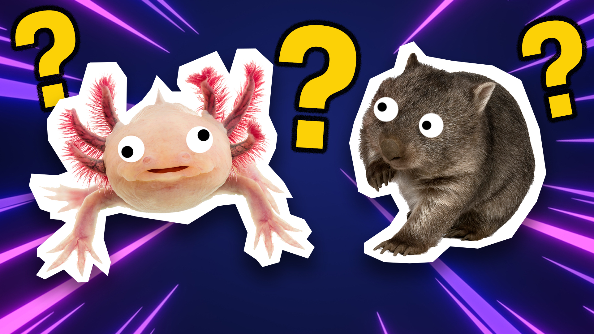 Trivia Quiz Are These Animals Real or Fake? Animals