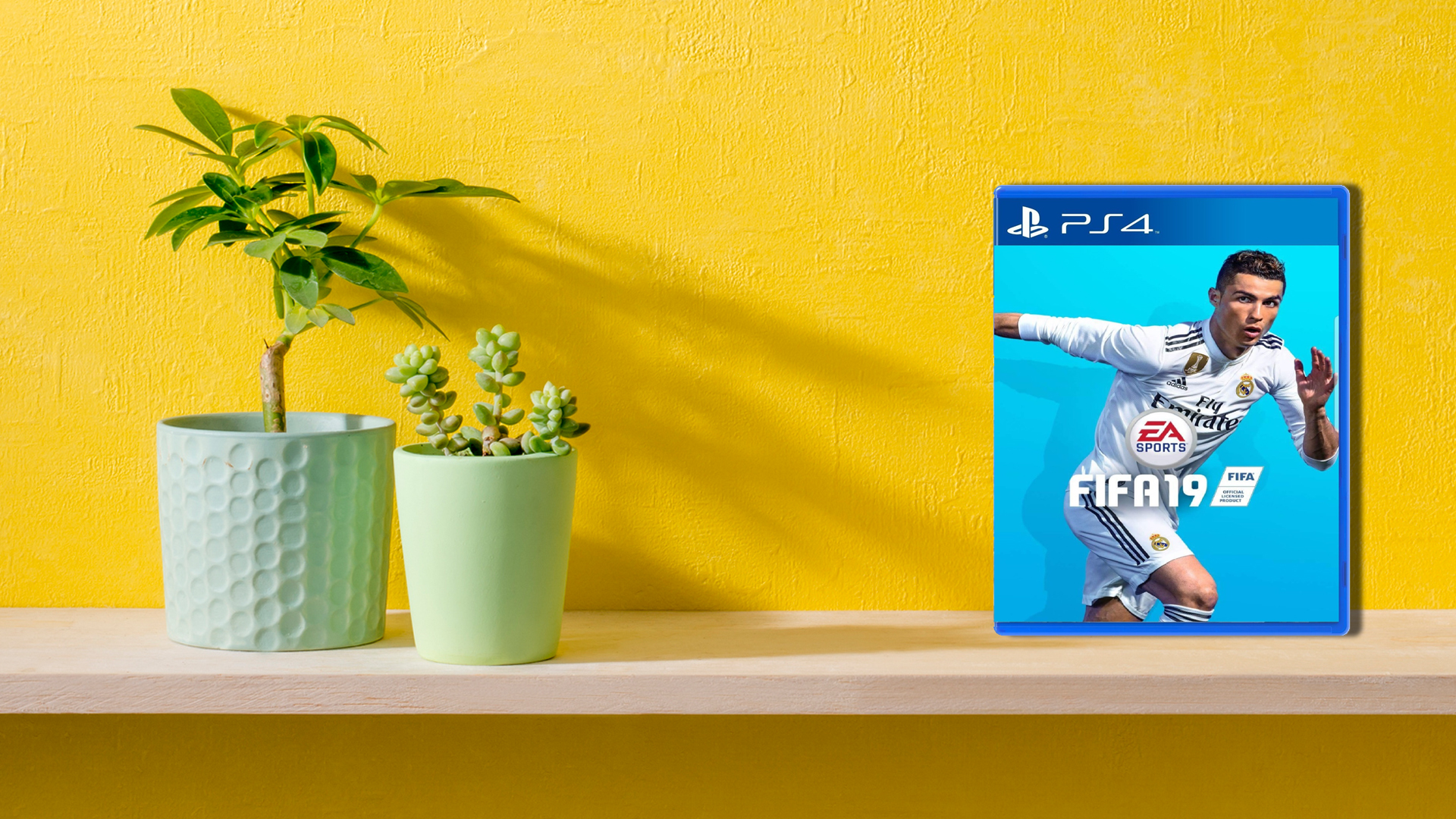 A shelf with plants and a copy of FIFA 19