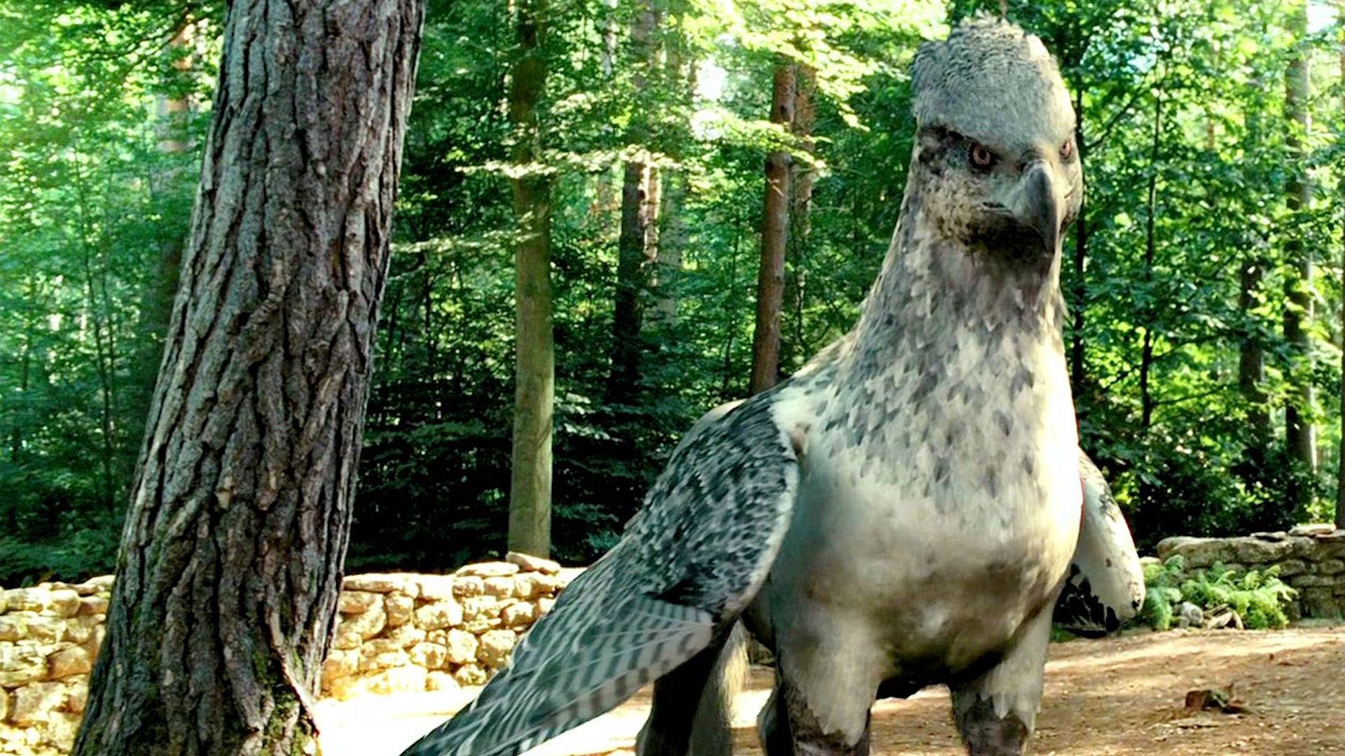 A hippogriff