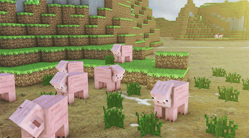 A group of intrigued pigs
