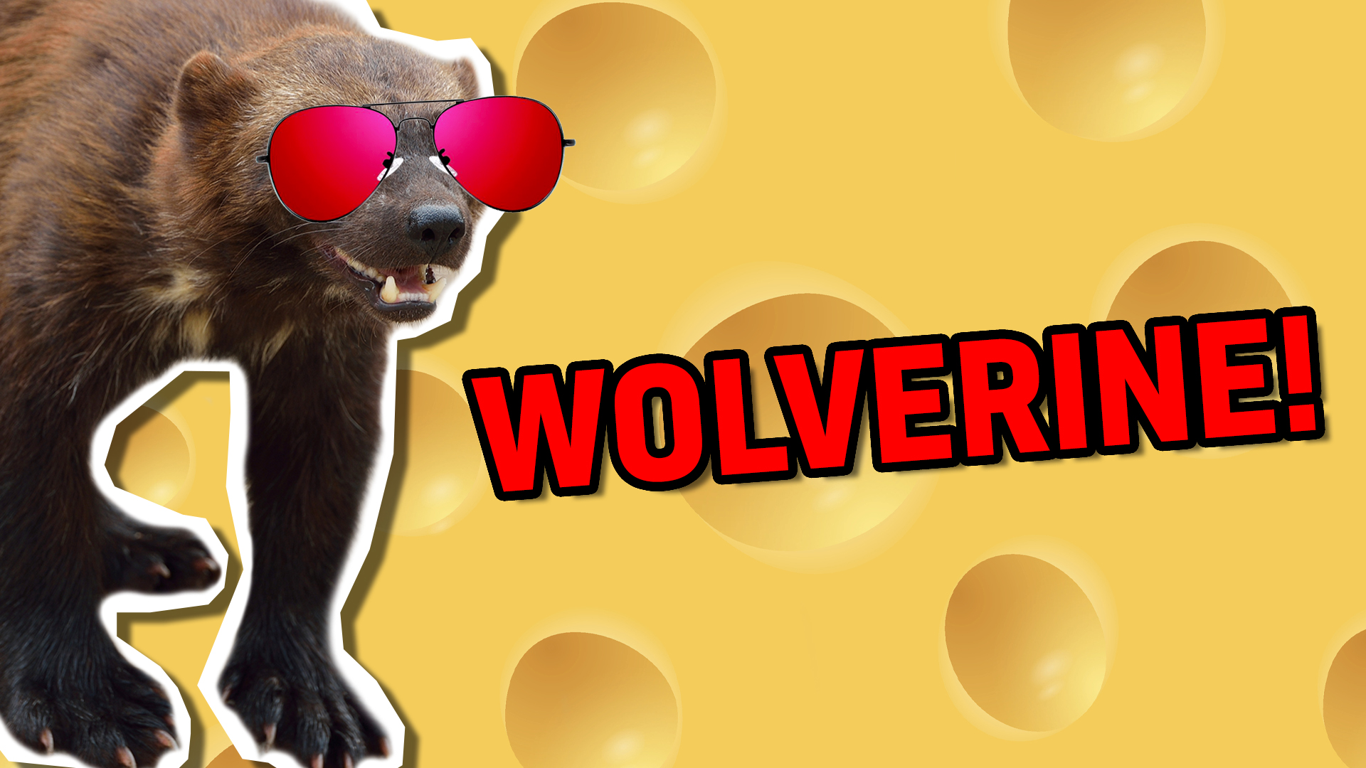 Wolverine | Smelly Animal