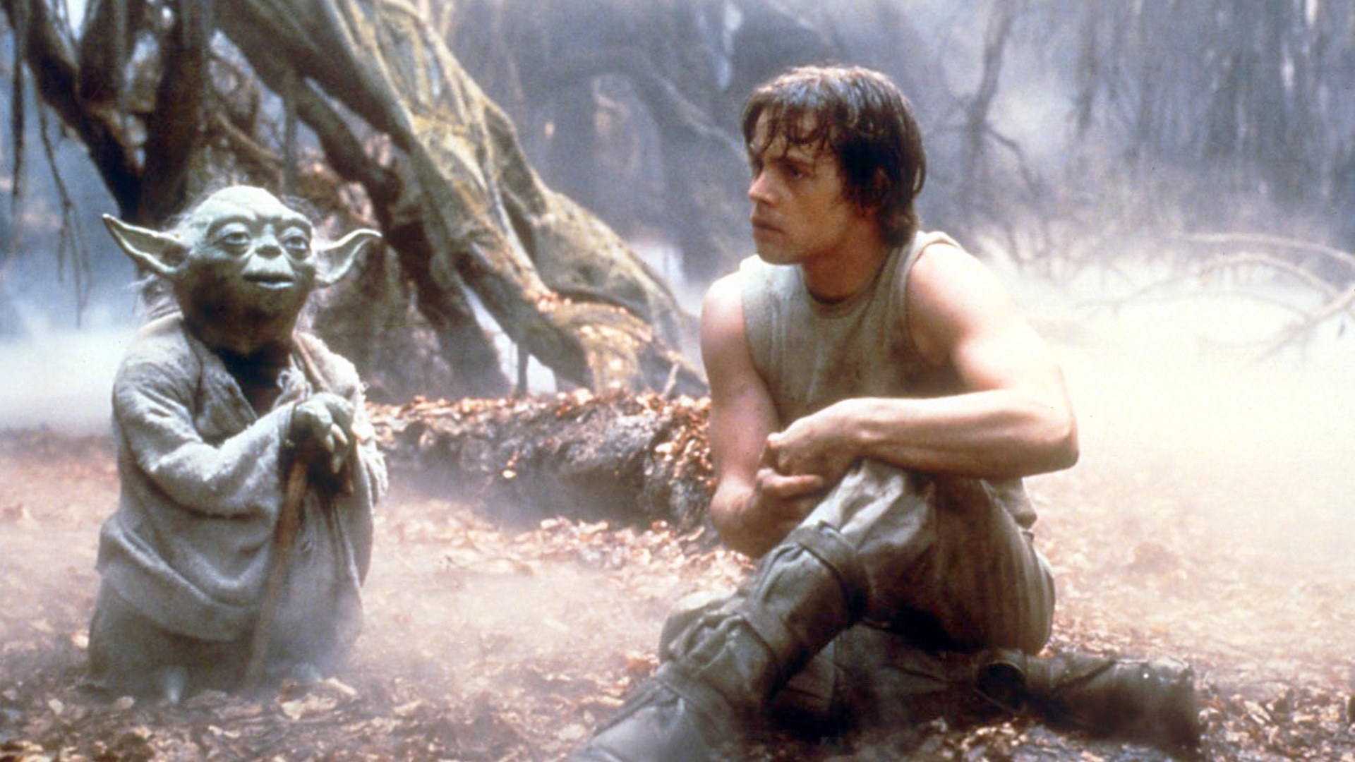 Luke and Yoda training at the swamp