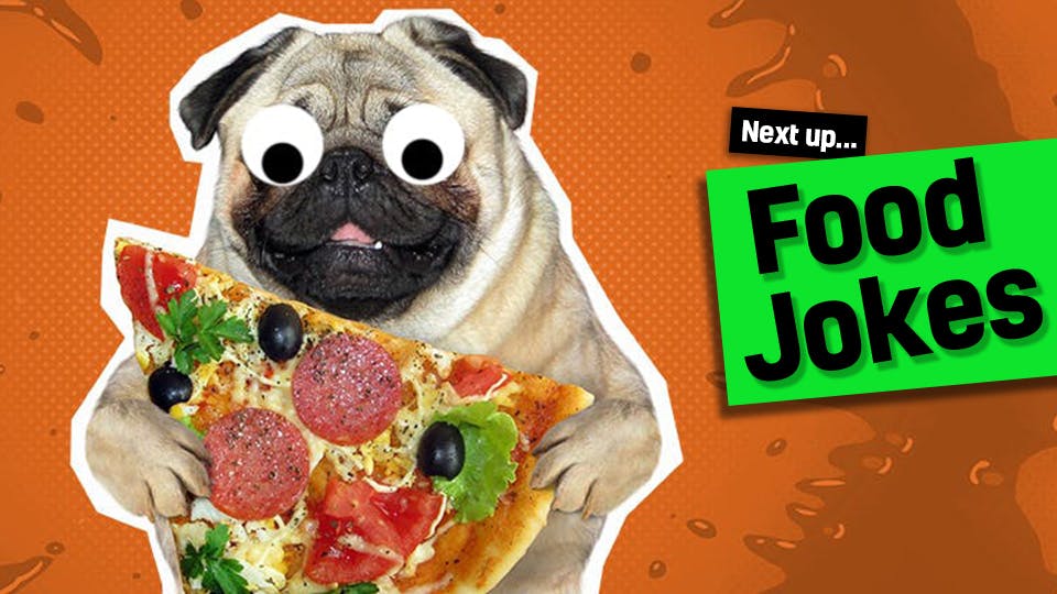 Link to food jokes from funny cheese jokes: a dog holding a slice of pizza | best cheese jokes