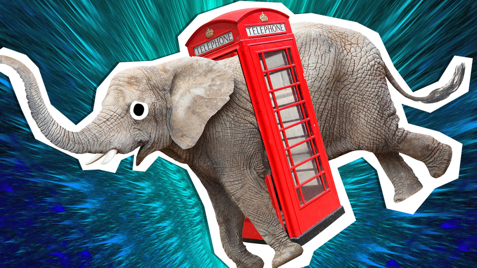 An elephant stuck in a phone booth | What Do You Call An Elephant in a Phone Booth?