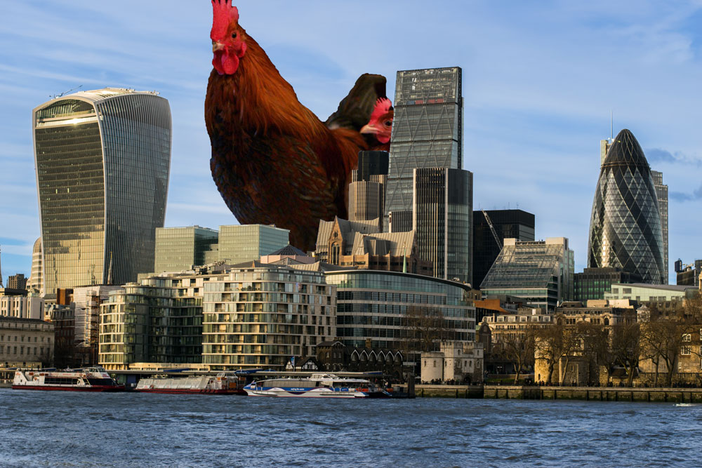 Chicken towering over London
