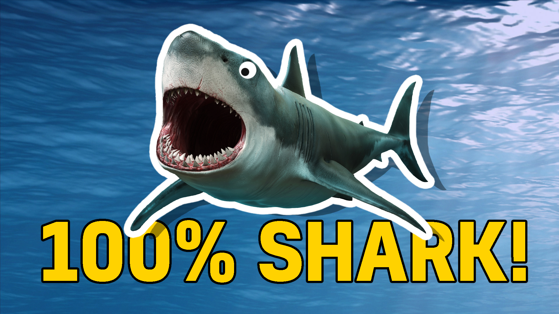 100% shark