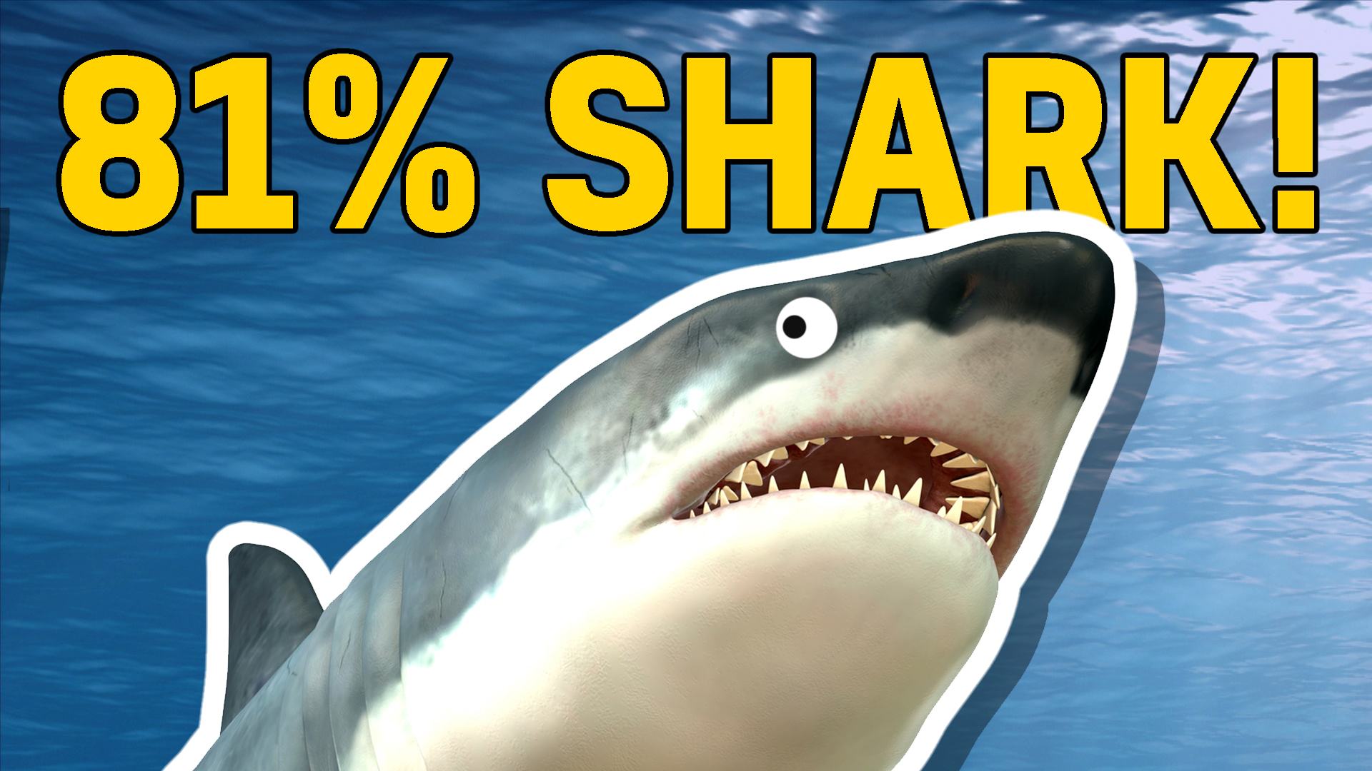 81% shark