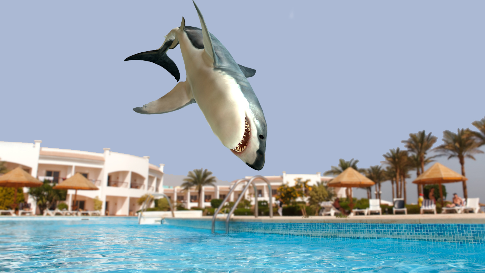 A shark has a lovely time in a quiet hotel swimming pool