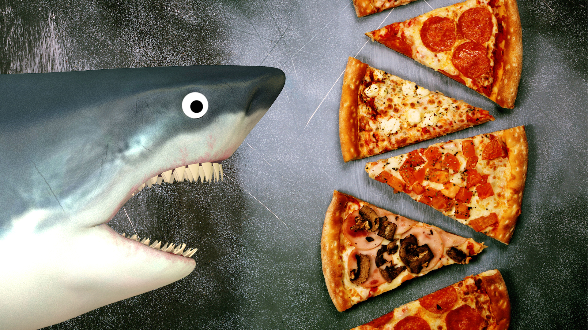 A shark approaches a pizza buffet