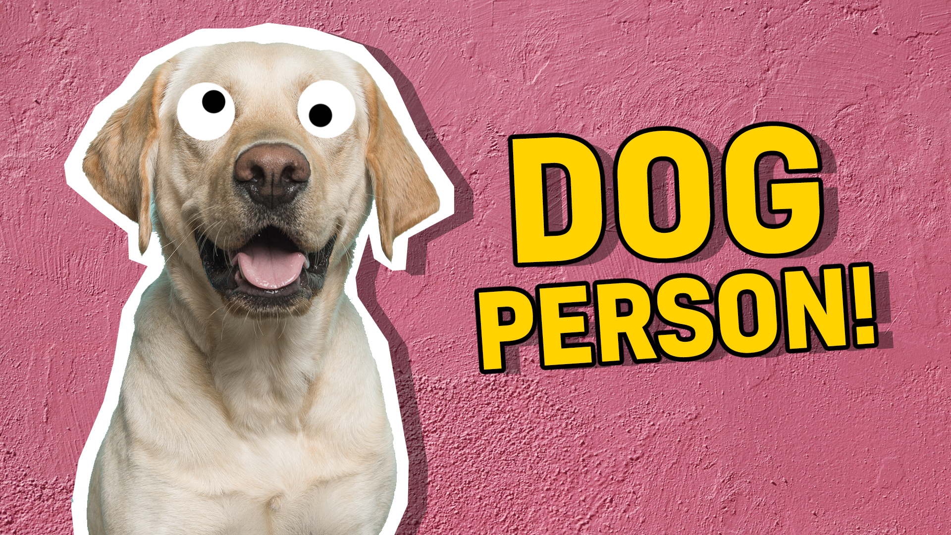 You're a: DOG PERSON!