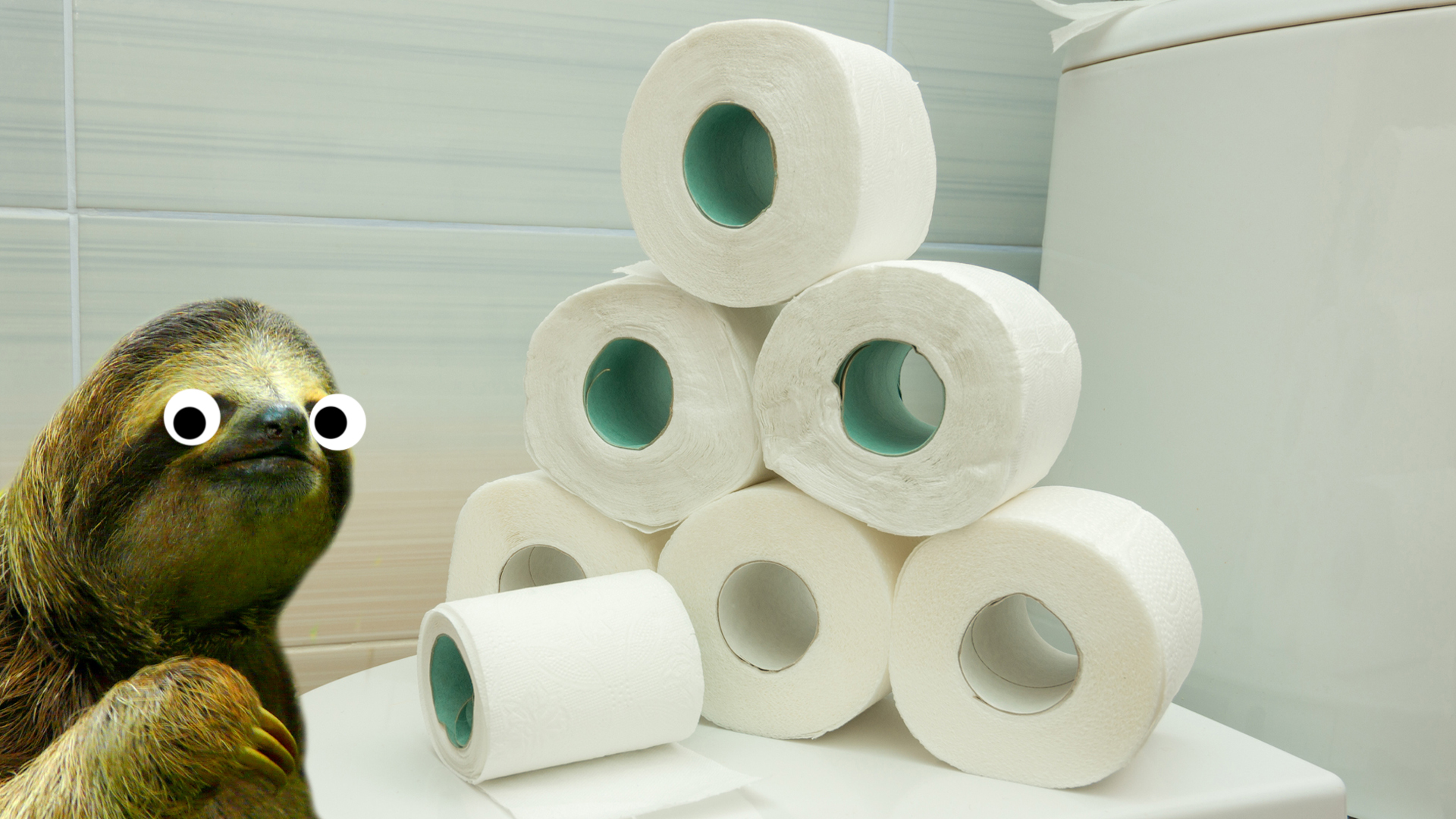 A sloth next to a big pile of toilet rolls