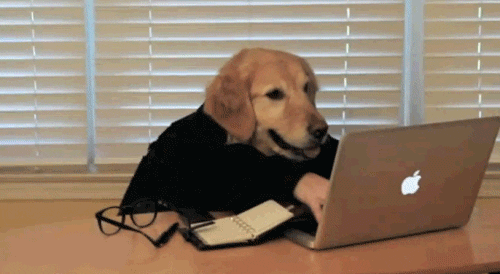 A dog sending an email